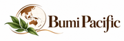 Bumi Pacific B.V. - Home